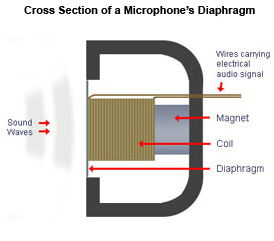 Picture courtesy of https://microphones.audiolinks.com/