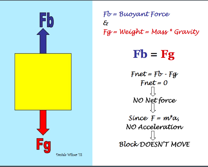 Free Body Diagram of Plastic
                    Cube (as dense as water)