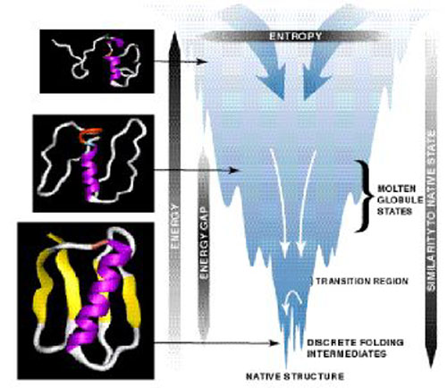 Figure 4. The Energy Landscape Theory Model