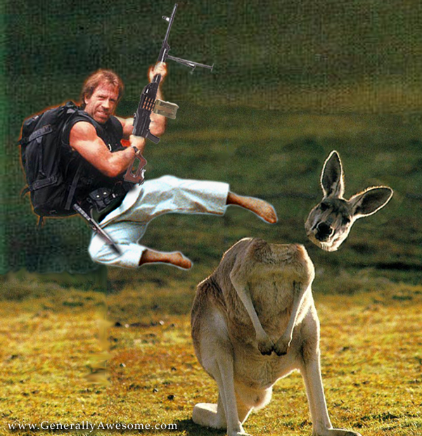 Chuck Norris Kangaroo