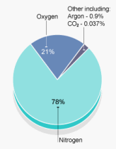 air composition