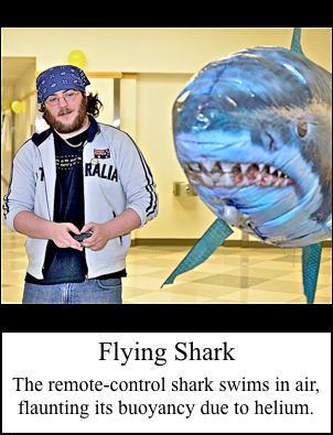 Flying Shark