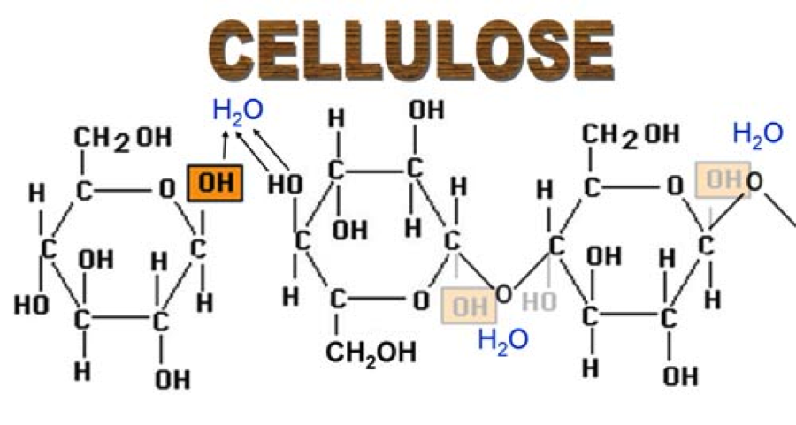 cellulose