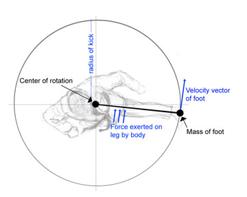 Physics: round house kick