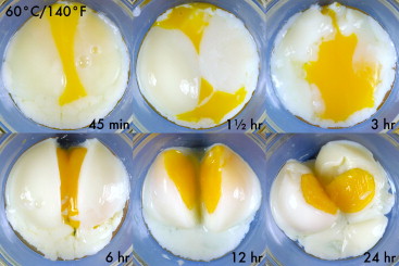 Egg Time Comparison