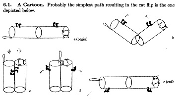 A rotating cylinders model for how cats can right themselves.