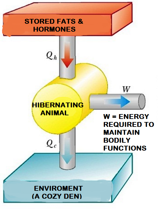 heat engine